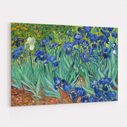 Irises 1889 by Vincent Van Gogh wall art
