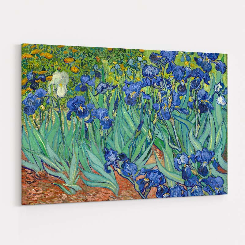Irises 1889 by Vincent Van Gogh wall art