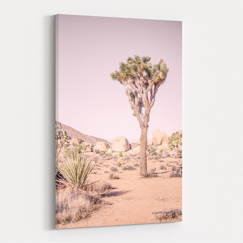 Joshua Tree III Blush by Elizabeth Urquhart wall art