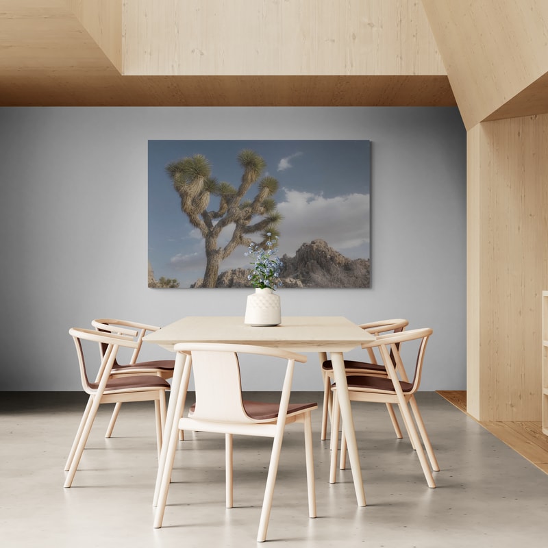 Joshua Tree National Park III by Alan Majchrowicz wall art from Glam Wall Art