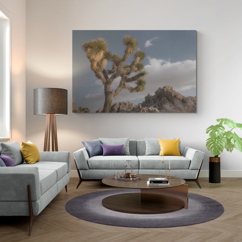 Joshua Tree National Park III by Alan Majchrowicz wall art in a living room