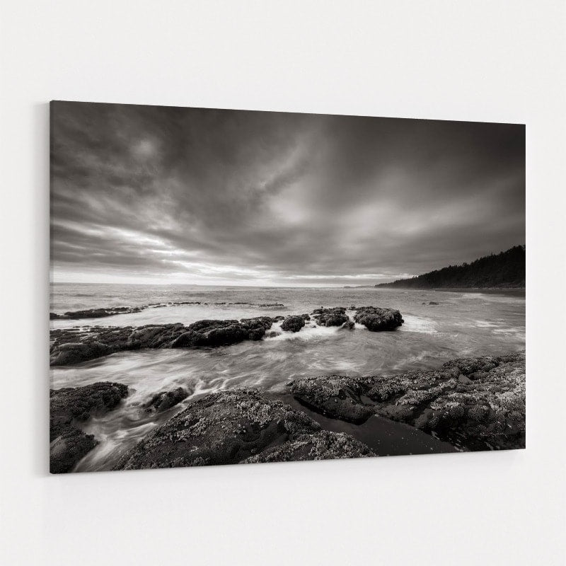 Kalaloch Beach by Alan Majchrowicz wall art