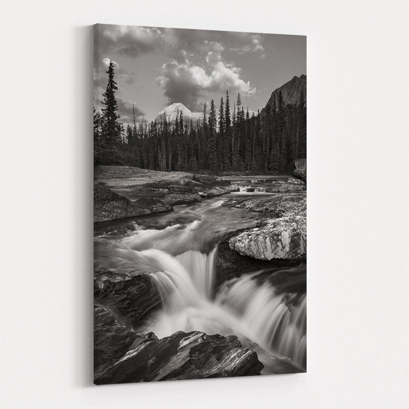 Kicking Horse River by Alan Majchrowicz wall art