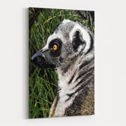 King Julien by Marina Strijakova wall art