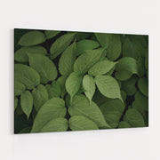 Leafy I by Elizabeth Urquhart wall art