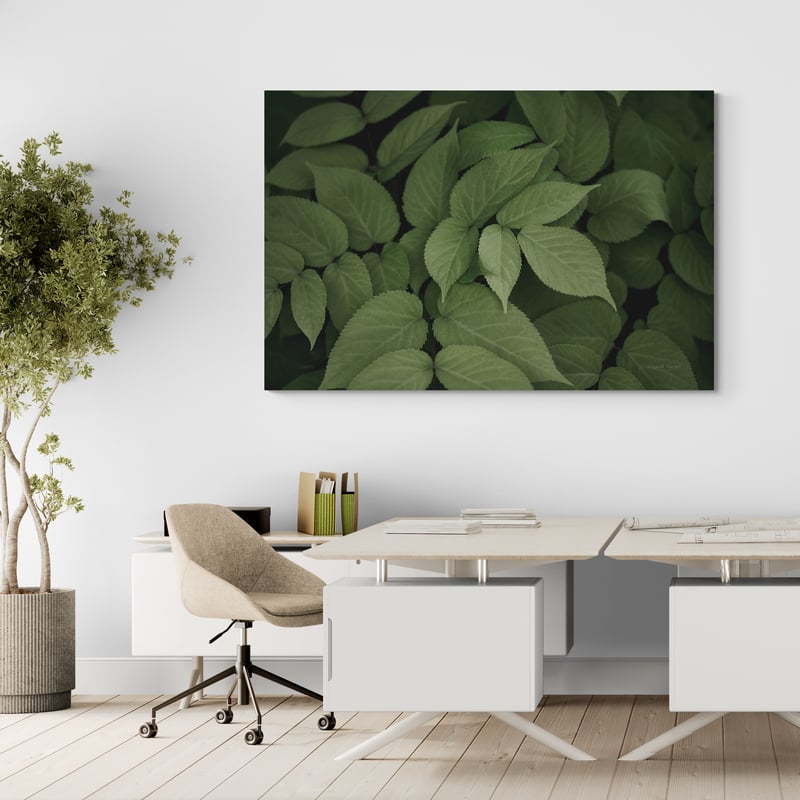 Leafy I by Elizabeth Urquhart wall art in a office