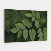 Leafy II by Elizabeth Urquhart wall art