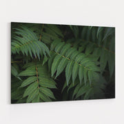 Leafy V by Elizabeth Urquhart wall art