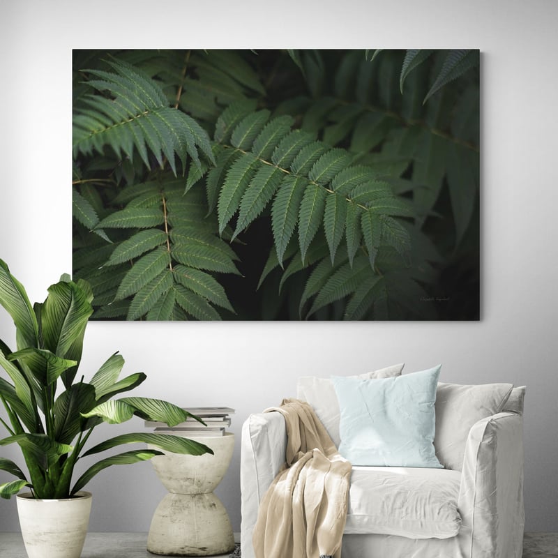 Leafy V by Elizabeth Urquhart wall art in a living room
