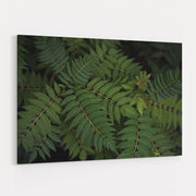 Leafy VI by Elizabeth Urquhart wall art