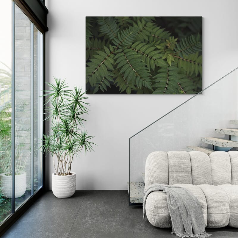 Leafy VI by Elizabeth Urquhart wall art from Glam Wall Art