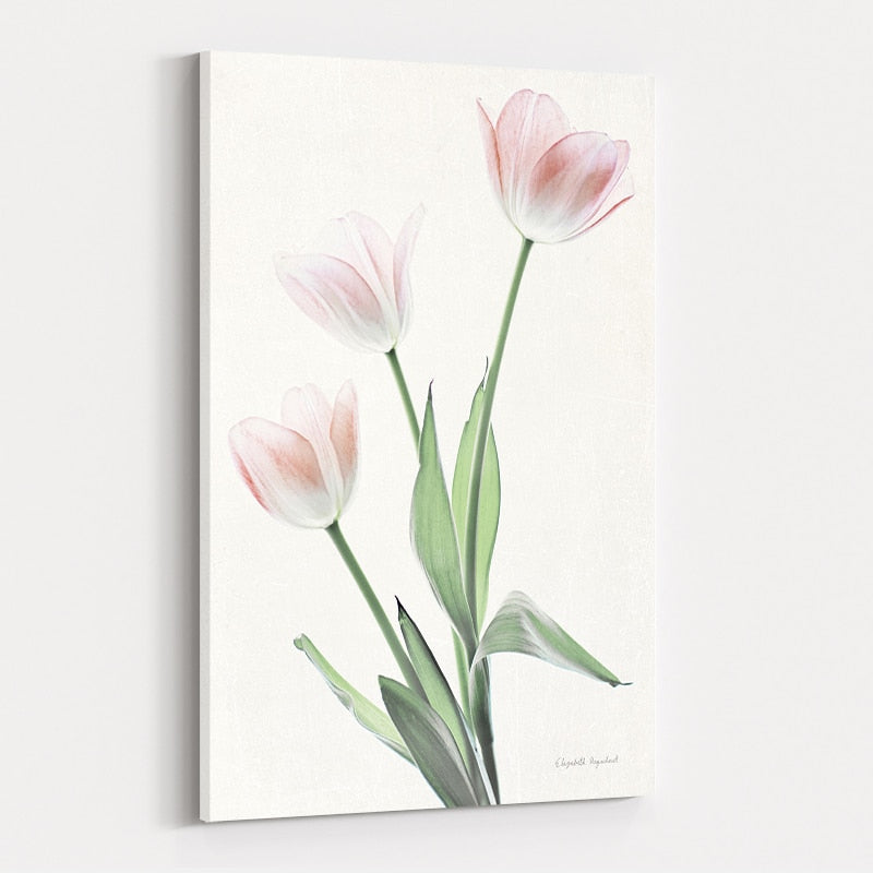 Light and Bright Floral I by Elizabeth Urquhart wall art