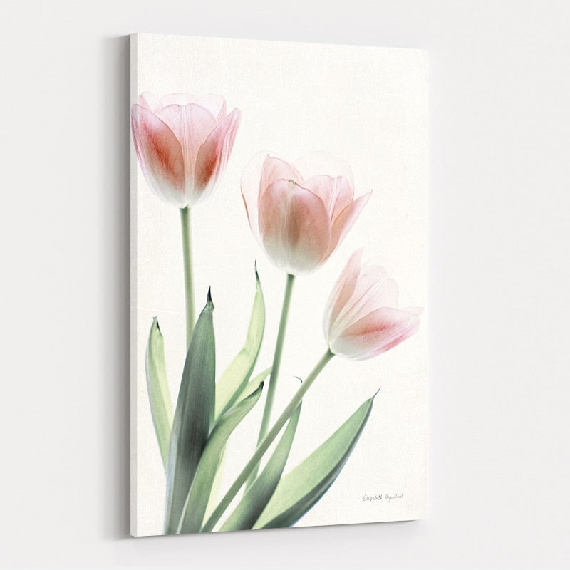 Light and Bright Floral II by Elizabeth Urquhart wall art