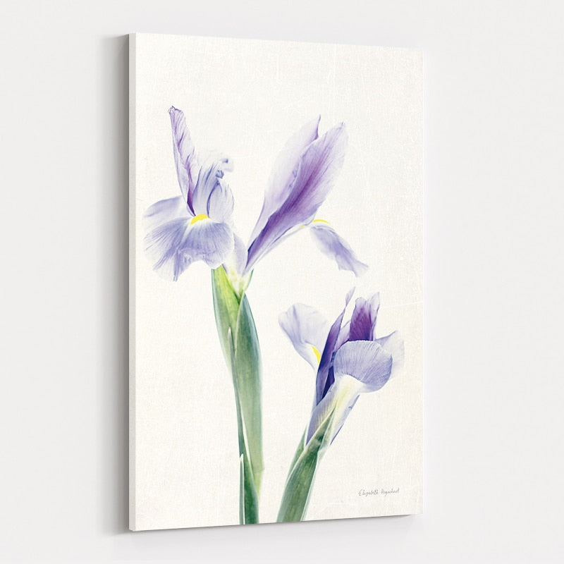 Light and Bright Floral III by Elizabeth Urquhart wall art