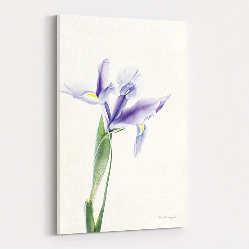 Light and Bright Floral IV by Elizabeth Urquhart wall art