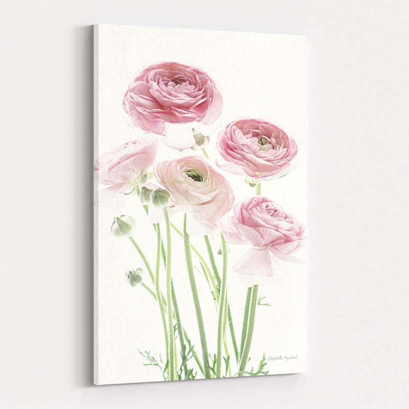 Light and Bright Floral V by Elizabeth Urquhart wall art