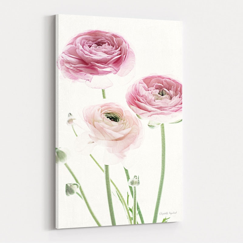 Light and Bright Floral VI by Elizabeth Urquhart wall art