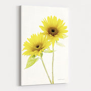 Light and Bright Floral VII by Elizabeth Urquhart wall art