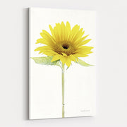 Light and Bright Floral VIII by Elizabeth Urquhart wall art