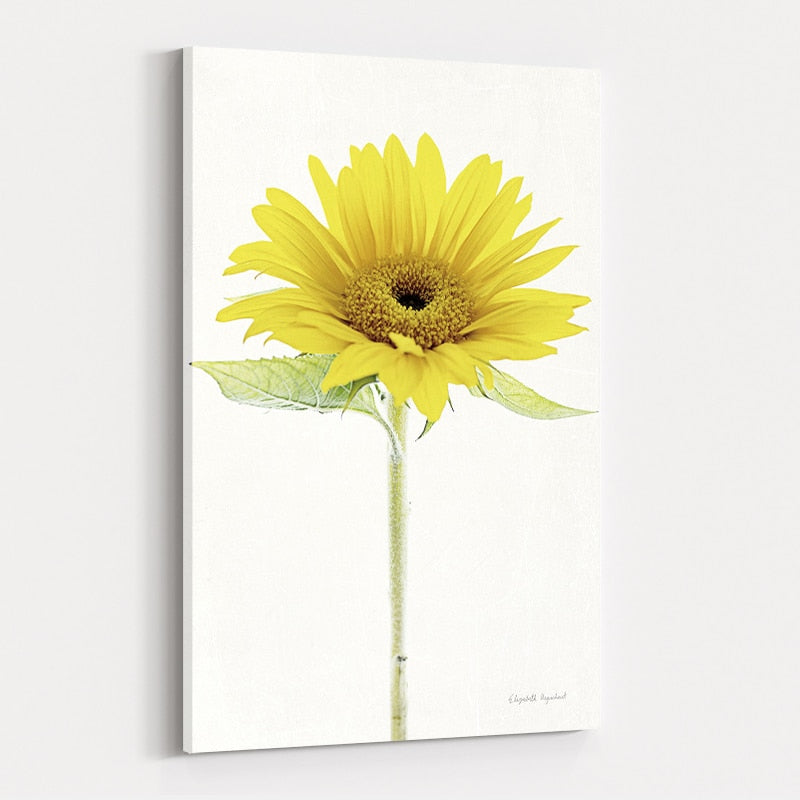 Light and Bright Floral VIII by Elizabeth Urquhart wall art