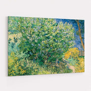 Lilac Bush 1889 by Vincent Van Gogh wall art