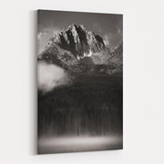 Little Redfish Lake Mist I Crop by Alan Majchrowicz wall art