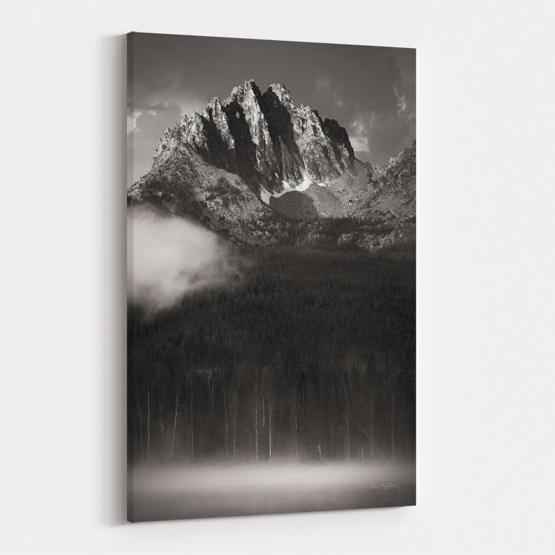Little Redfish Lake Mist I Crop by Alan Majchrowicz wall art