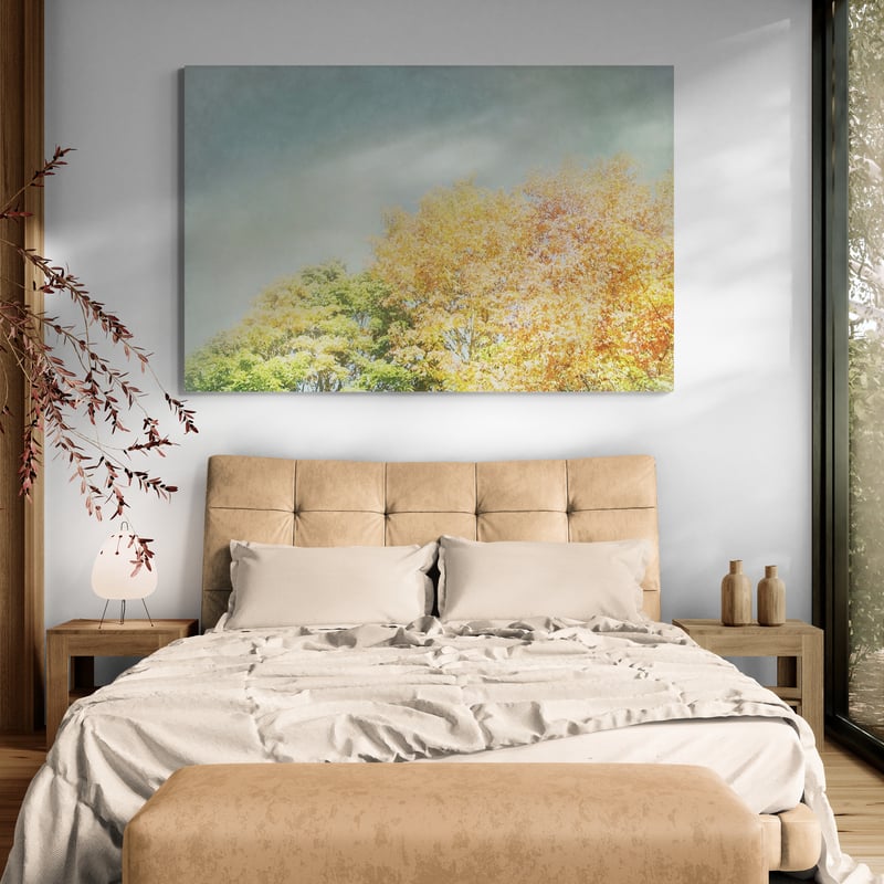 Looking Up II by Elizabeth Urquhart wall art from Glam Wall Art
