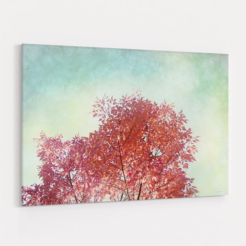 Looking Up III by Elizabeth Urquhart wall art