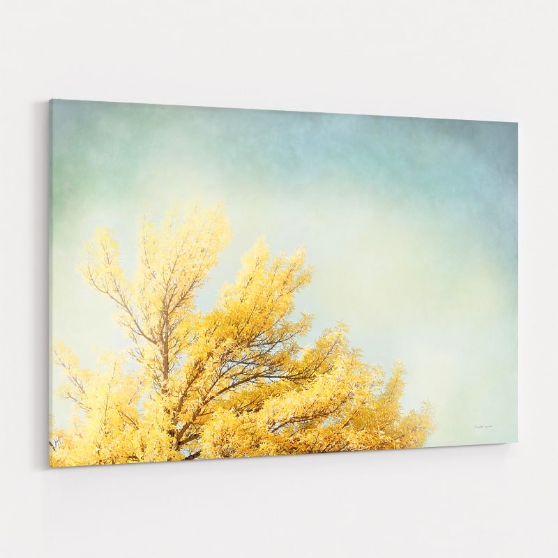 Looking Up IV by Elizabeth Urquhart wall art