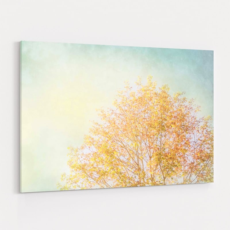 Looking Up by Elizabeth Urquhart wall art