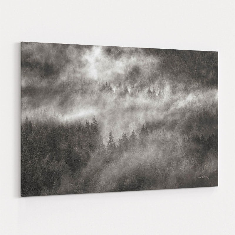 Misty Mountains North Cascades Bw by Alan Majchrowicz wall art