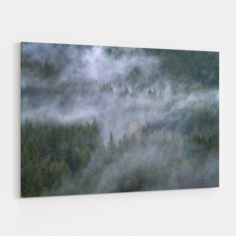 Misty Mountains North Cascades by Alan Majchrowicz wall art