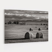 Montana Hay Bales by Alan Majchrowicz wall art