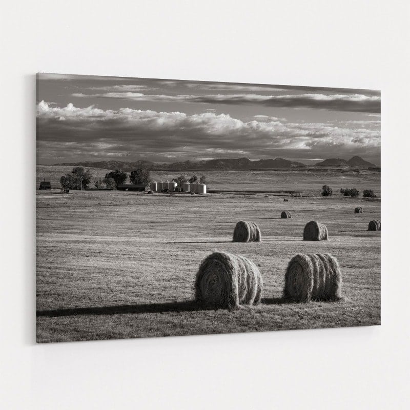 Montana Hay Bales by Alan Majchrowicz wall art