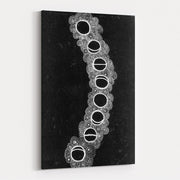 Moon Phrases by Julianne Wade wall art