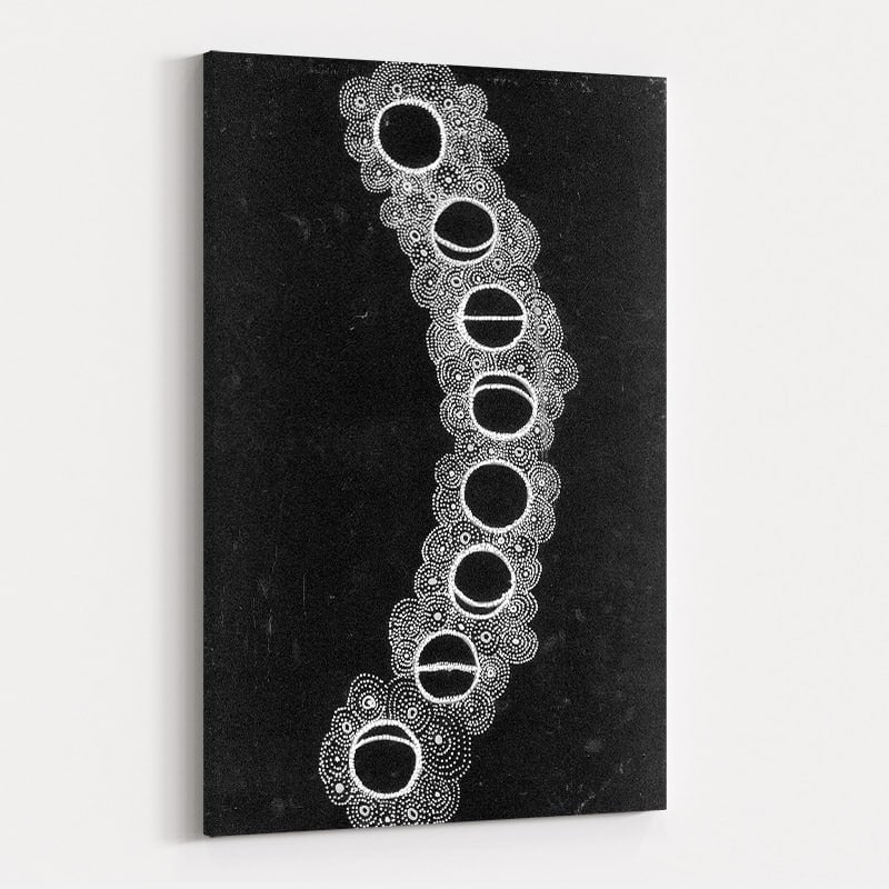 Moon Phrases by Julianne Wade wall art