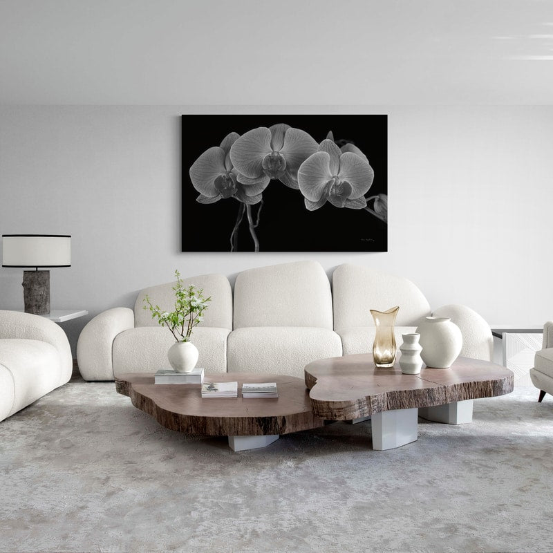 Moth Orchids I by Alan Majchrowicz wall art in a living room