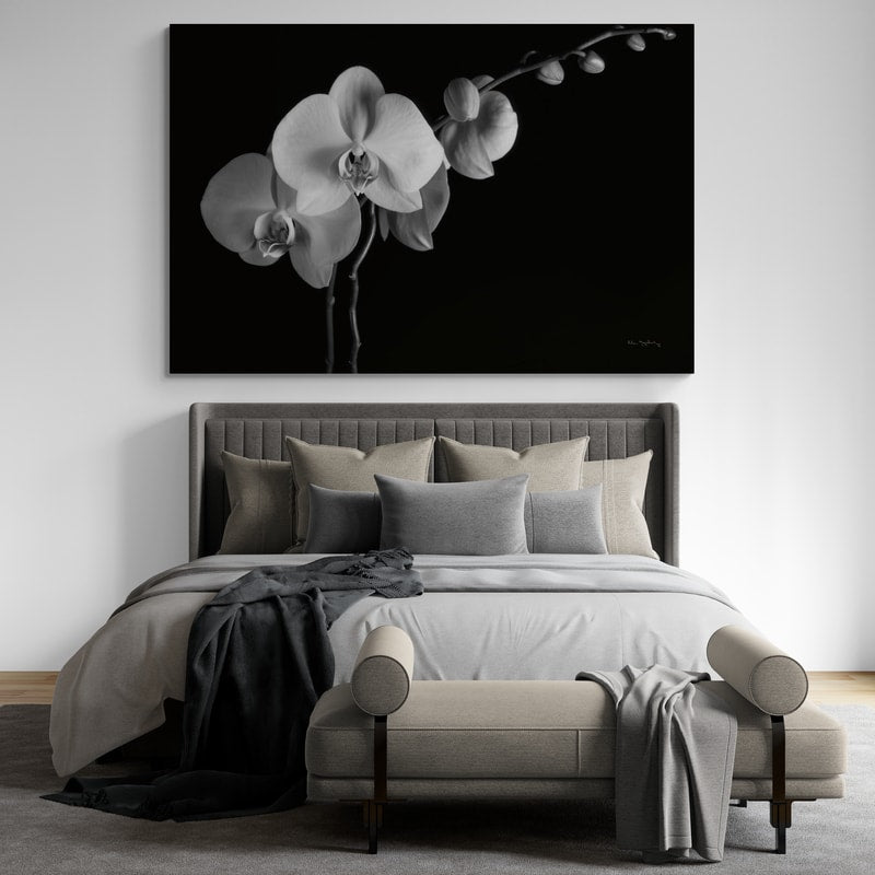 Moth Orchids Ii by Alan Majchrowicz wall art from Glam Wall Art