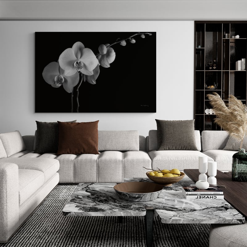 Moth Orchids Ii by Alan Majchrowicz wall art in a living room