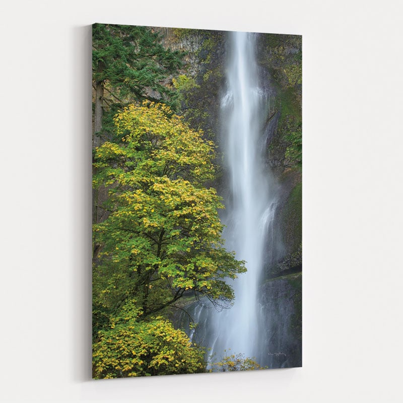 Multnomah Falls Color by Alan Majchrowicz wall art