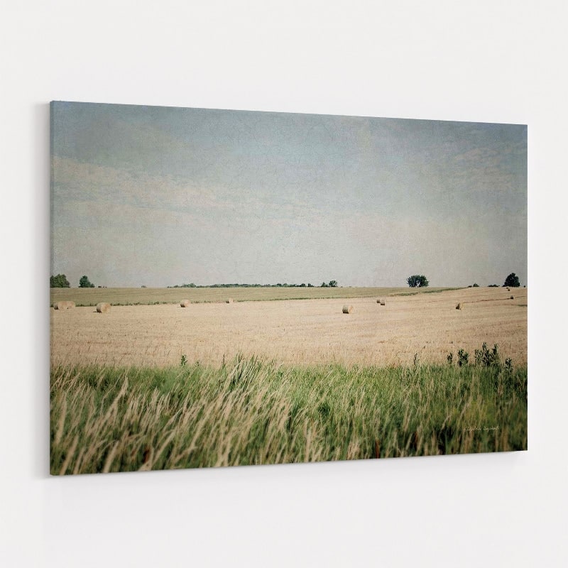 Neutral Country II by Elizabeth Urquhart wall art