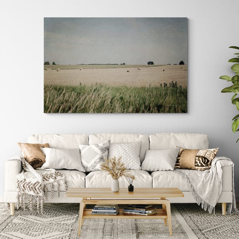 Neutral Country II by Elizabeth Urquhart wall art in a living room