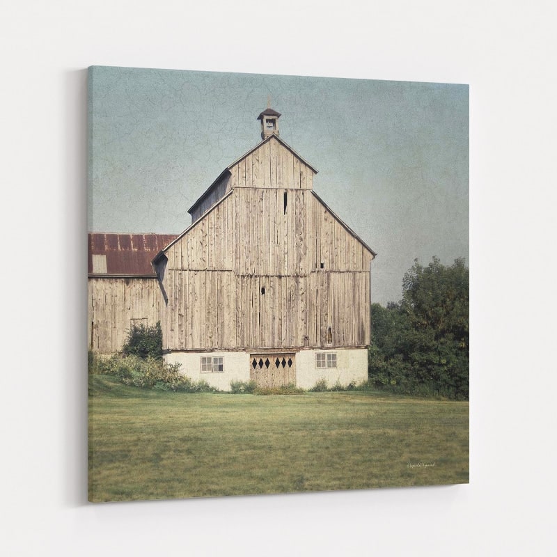 Neutral Country IV by Elizabeth Urquhart wall art