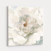Neutral Peony by Danhui Nai wall art