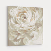 Neutral Rose by Danhui Nai wall art