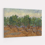 Olive Grove 1889 by Vincent Van Gogh wall art
