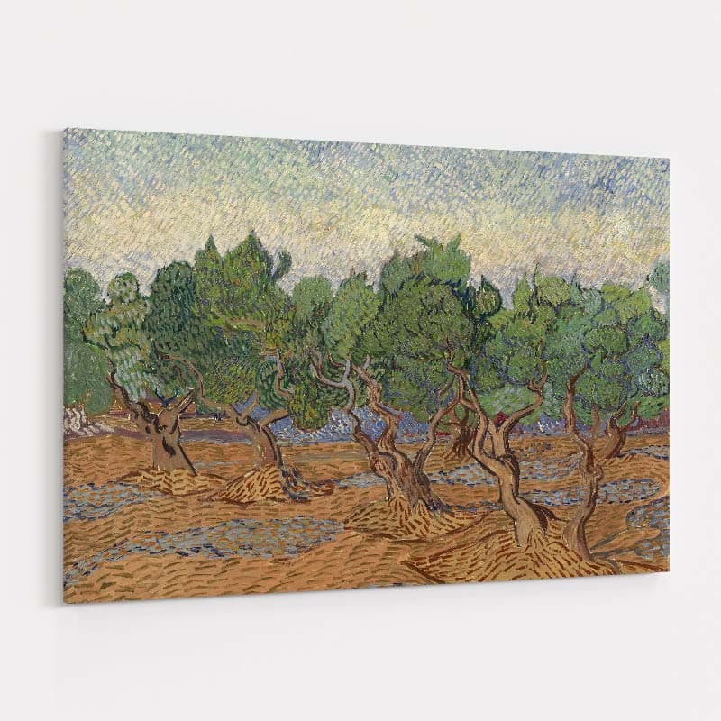 Olive Grove 1889 by Vincent Van Gogh wall art