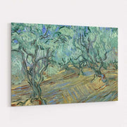 Olive Grove 2 1889 by Vincent Van Gogh wall art