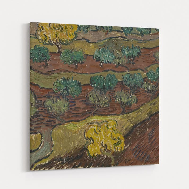 Olive Trees on a Hill 1889 by Vincent Van Gogh wall art